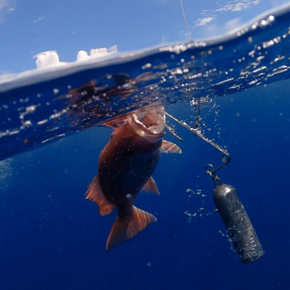 SeaYaLater Fish Release Hook image 1