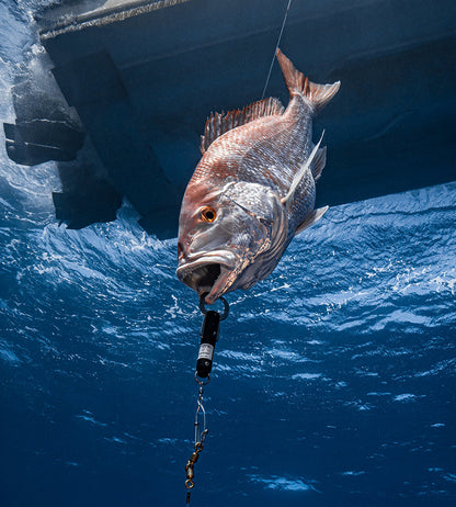 SeaQualizer - Shallow - 30'-50'-70'